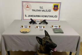 Yalova’da uyuşturucu operasyonu: 1 gözaltı