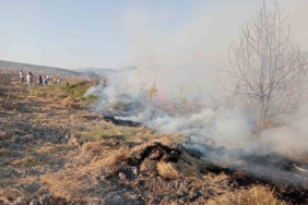 Yenişehir’de ormanlık alanda çıkan yangına havadan ve karadan müdahale edildi