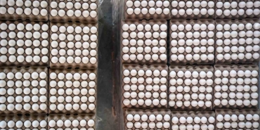 Yumurta fiyatlarındaki sezonluk indirim son buldu, fiyatlar eski seviyeye döndü