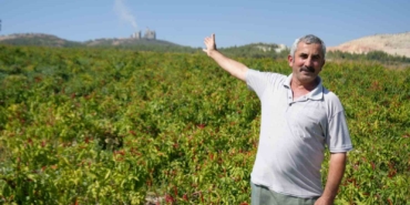 160 yıldır aynı tohumdan üretilen acı kırmızıbiberin verimi bu yıl düştü