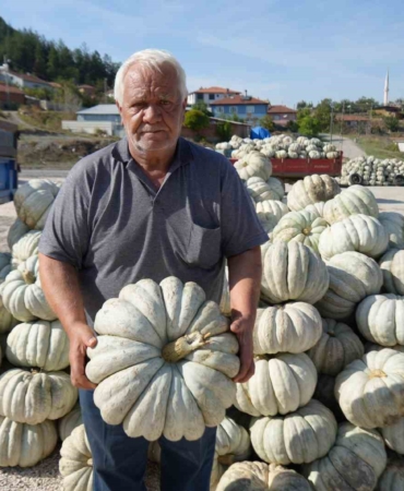 25 yıl önce deneme amaçlı ektiler, şimdi 40 şehre satıyorlar