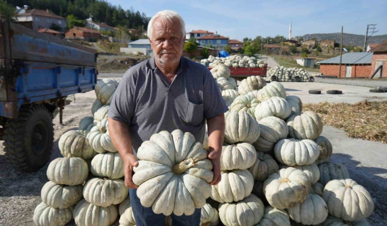 25 yıl önce deneme amaçlı ektiler, şimdi 40 şehre satıyorlar
