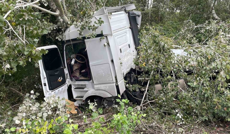 Anadolu Otoyolu’nda kontrolden çıkan tır, ağaca çarparak durabildi: 1 yaralı