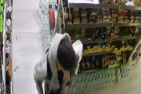 Arnavutköy’de Dubai çikolatası hırsızlığı güvenlik kamerasına yansıdı