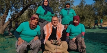 Ayvalık Belediyesi zeytinliklerinin ilk hasadı Başkan Ergin’den