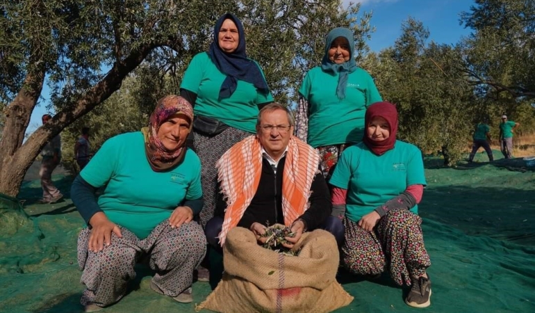 Ayvalık Belediyesi zeytinliklerinin ilk hasadı Başkan Ergin’den