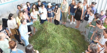 BAÇEM’de tıbbi ve aromatik bitkiler kursu tamamlandı