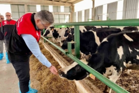 Balıkesir’de AB onaylı işletme sayısı artıyor