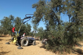 Balıkesirli kaşifin yaptığı makineler zeytin hasadını kolaylaştırdı