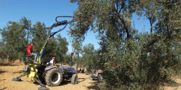 Balıkesirli kaşifin yaptığı makineler zeytin hasadını kolaylaştırdı