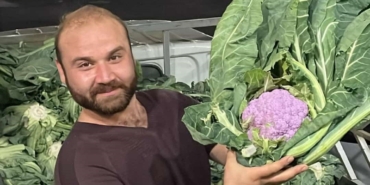 Bandırma halinde "Mor Karnabahar" şaşkınlığı