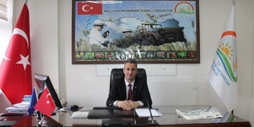 Bilecik’te çiftçilerin kahverengi kokarca paniği