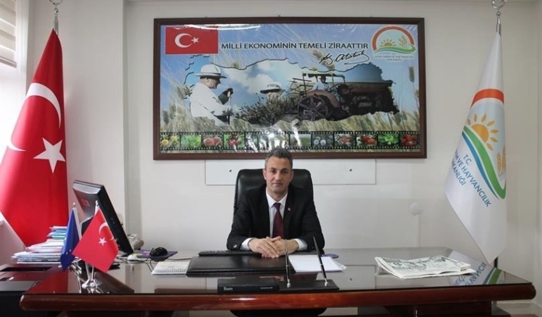 Bilecik’te çiftçilerin kahverengi kokarca paniği