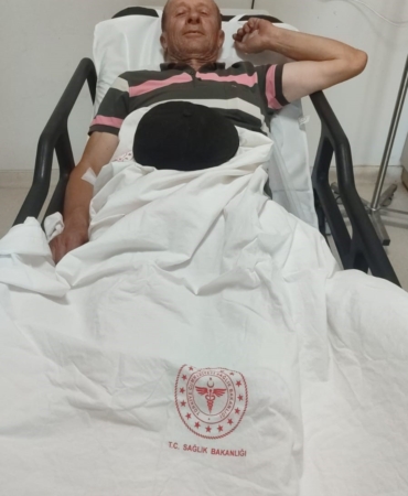 Bilecik’te domuzları avlayan 1 avcı yaralandı