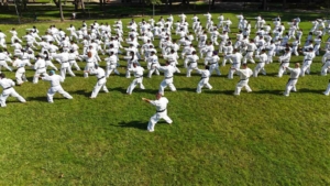 Bursa’da 240 kişilik karate şovu görsel şölen oluşturdu