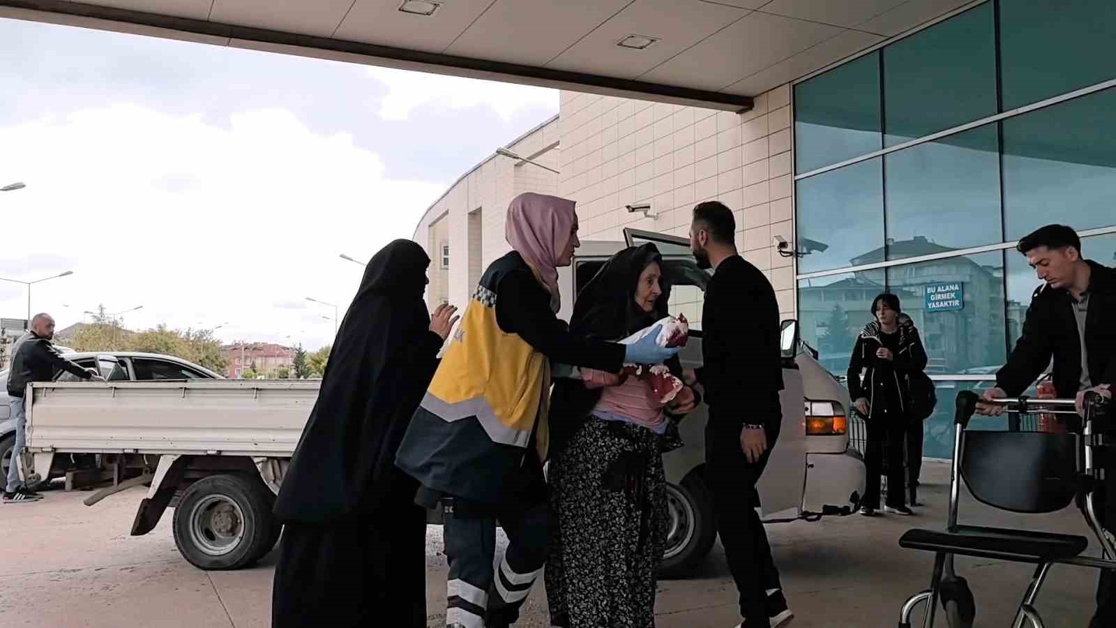 Bursa’da bir garip olay: Kedi ile köpeğin kavgasını ayırdı, kedinin saldırısına uğradı