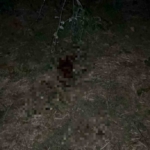 Bursa’da iki genç arasında çıkan tartışmada kan aktı: 1 ölü