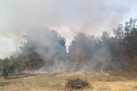 Bursa’da korkutan orman yangını