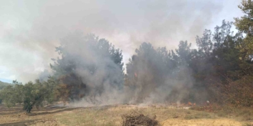 Bursa’da korkutan orman yangını