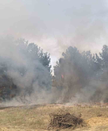 Bursa’da korkutan orman yangını
