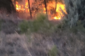 Bursa’da korkutan orman yangını