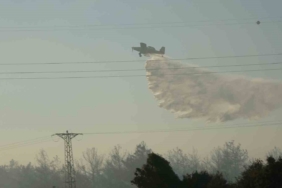 Çanakkale Valisi Toraman: "Yangın kontrol altına alındı, 4 hektarlık alan etkilendi"