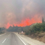 Çanakkale’de ormanlara giriş yasağı 30 Kasım’a kadar uzatıldı