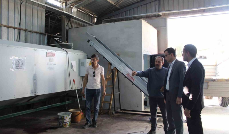 Ceviz kurutma tesisinde mesai başladı