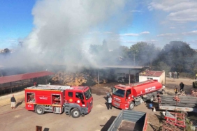 Edirne’de çiftlik yangını: Samanlar ve çeltikler küle döndü