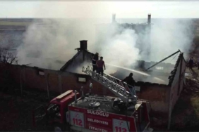 Edirne’de çiftlik yangını: Tavuklar ve arılar telef oldu