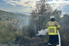 Erdek’te yangın: 10 dönümlük zeytinlik kül oldu