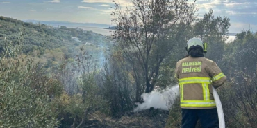 Erdek’te yangın: 10 dönümlük zeytinlik kül oldu