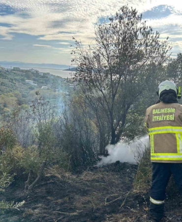Erdek’te yangın: 10 dönümlük zeytinlik kül oldu