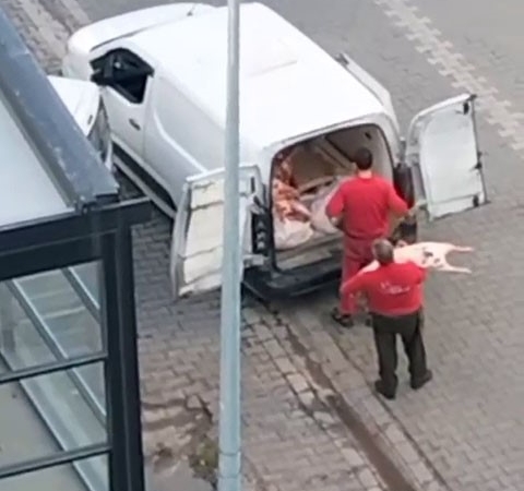 Esenyurt’ta mide bulandıran anlar kamerada