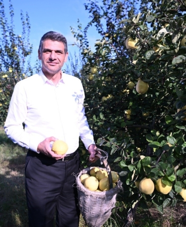 Eşme Ayva Festivali 20 Ekim’de düzenlenecek