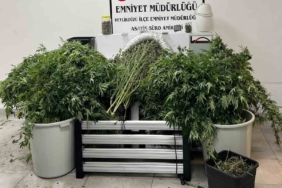 Evi uyuşturucu serasına çevirip ticaret yapan şahıslara operasyon