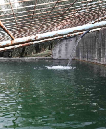 Gemlik Belediyesi, 10 bin ağaca su ulaştırdı