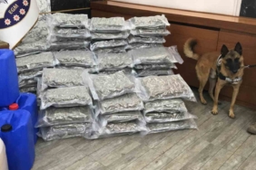 İstanbul’da uyuşturucu operasyonları: 8 gözaltı