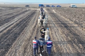 Kaçak göçmenlerin tarlada yakalanma anı dron kamerasında