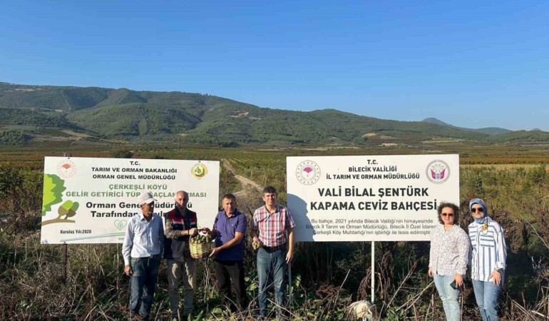 Kavaklığı ceviz bahçesine dönüştüren muhtarlık ilk hasadını yaptı