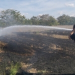 Kırklareli’de anız yangını