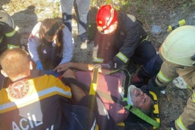 Kontrolden çıkan tır devrildi, sürücüsü yaralandı