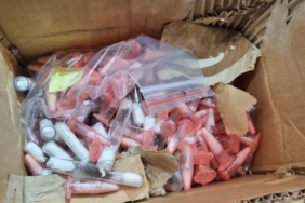 Leopar cinsi kertenkele ve örümcekler sınırda yakalandı