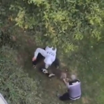 Maltepe’de pitbull saldırdığı kediyi parçaladı