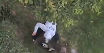 Maltepe’de pitbull saldırdığı kediyi parçaladı