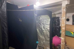 Sarıyer’de uyuşturucu operasyonları: 6 gözaltı