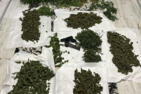 Sarıyer’de uyuşturucu tarlasına çevrilen eve baskın: Beşik ve şifonyeri bile kullanmışlar