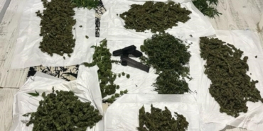 Sarıyer’de uyuşturucu tarlasına çevrilen eve baskın: Beşik ve şifonyeri bile kullanmışlar