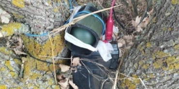 Ses düzeneğiyle bıldırcın avlayan şahıs yakalandı