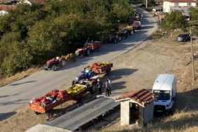 Taze ceviz toptan 25 liraya satılıyor